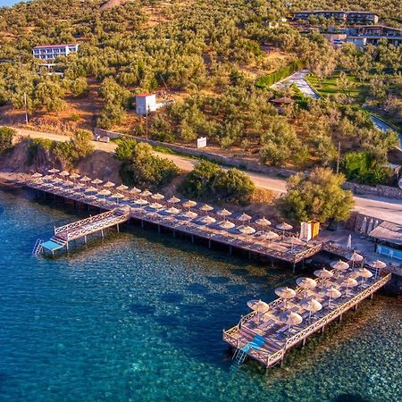 Assos Dionysos Special Class Hotel Adults Only 12 Years 외부 사진