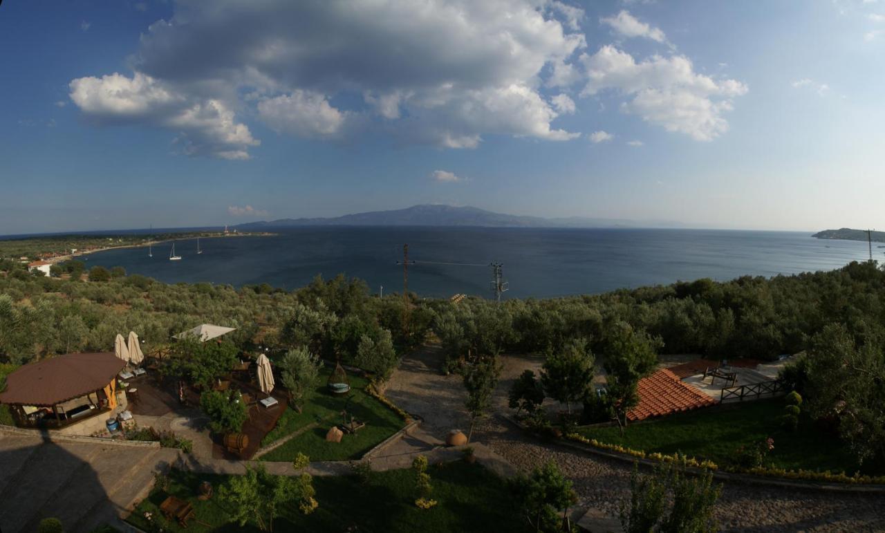 Assos Dionysos Special Class Hotel Adults Only 12 Years 외부 사진