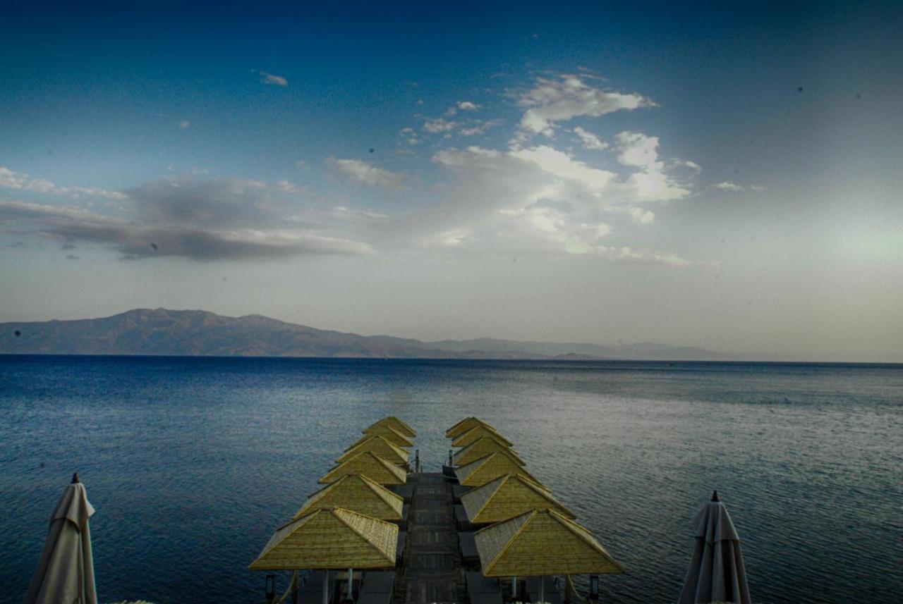 Assos Dionysos Special Class Hotel Adults Only 12 Years 외부 사진