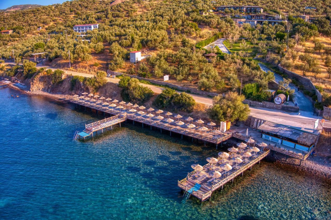 Assos Dionysos Special Class Hotel Adults Only 12 Years 외부 사진