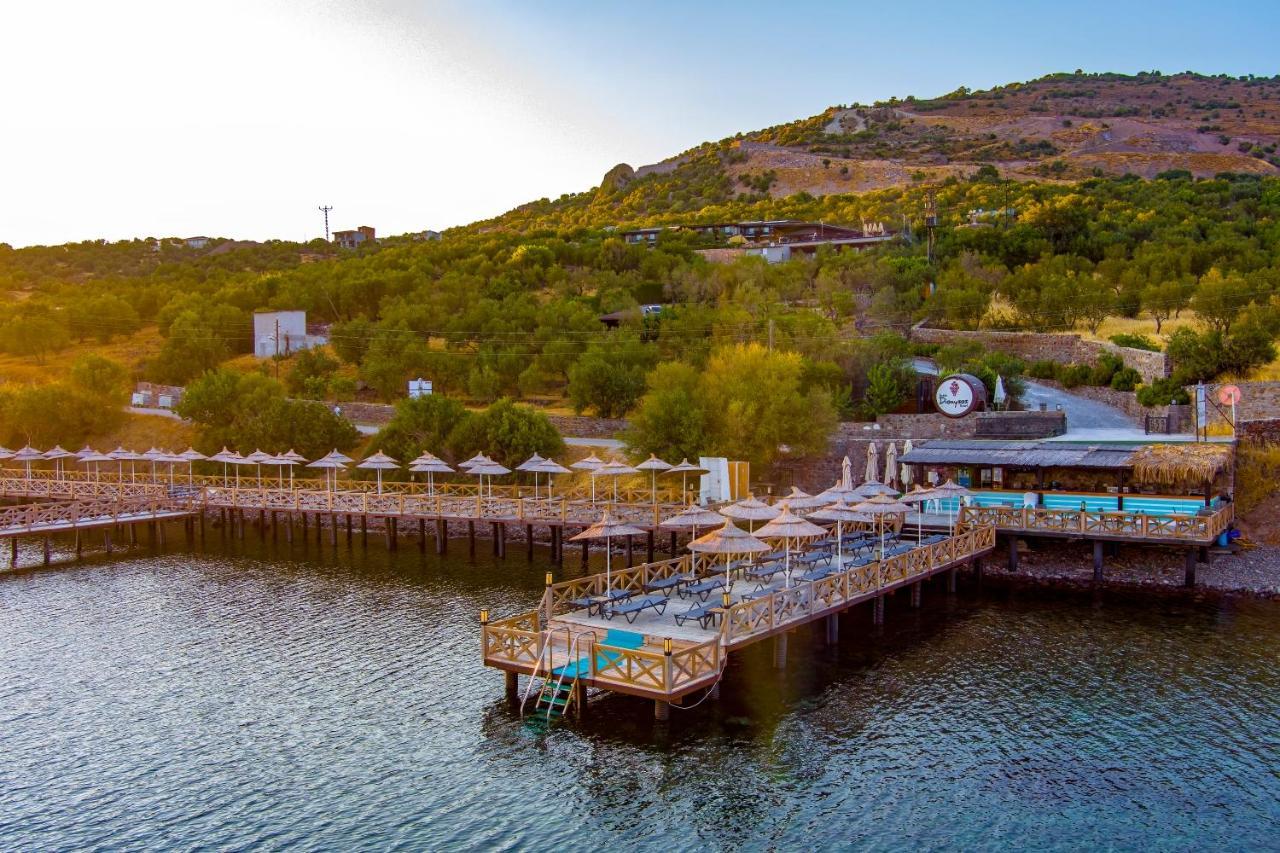 Assos Dionysos Special Class Hotel Adults Only 12 Years 외부 사진