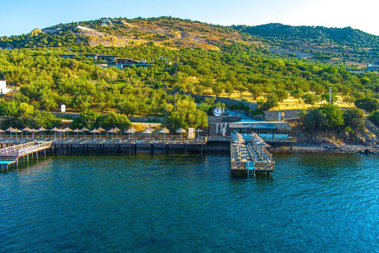 Assos Dionysos Special Class Hotel Adults Only 12 Years 외부 사진