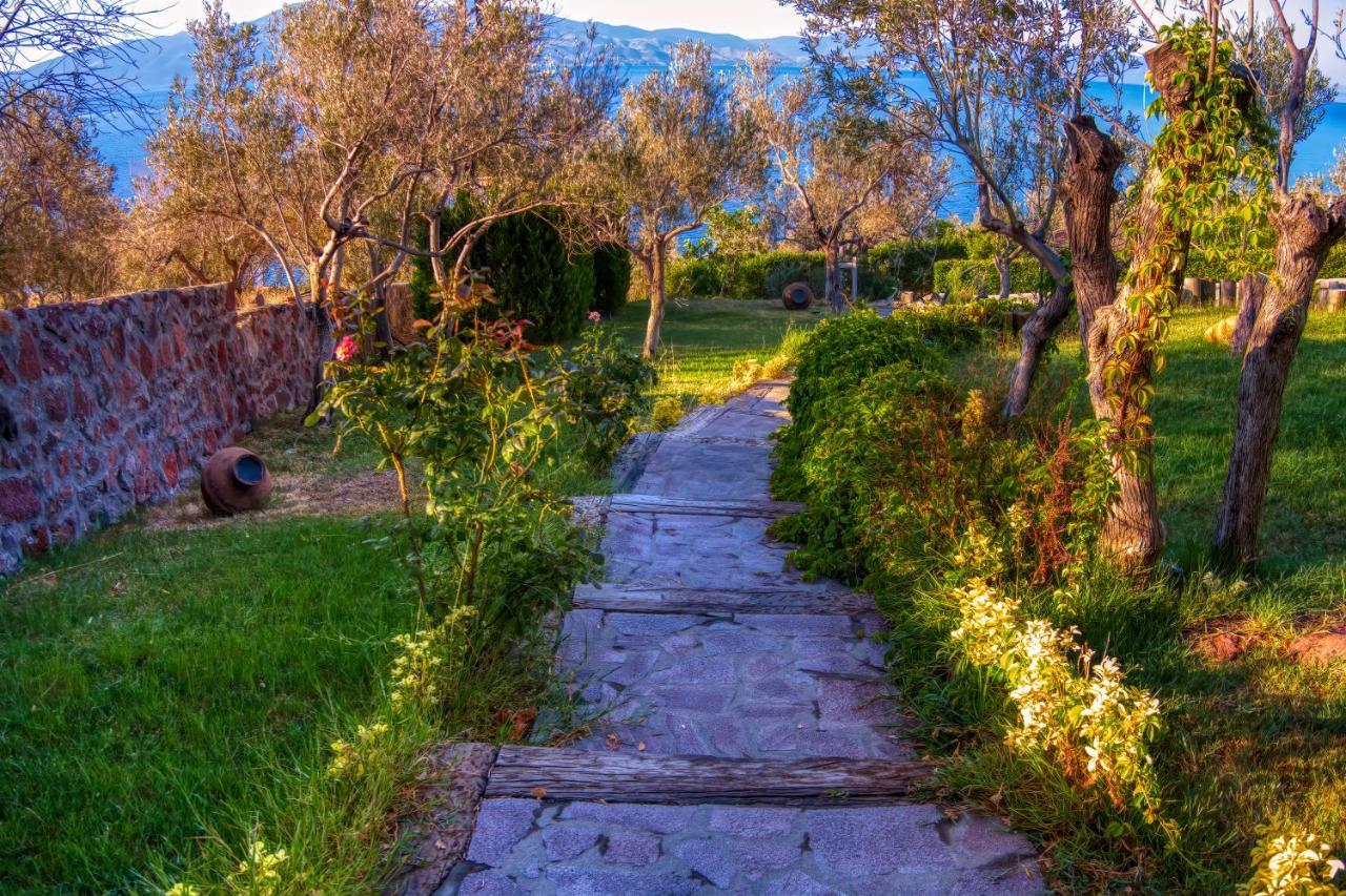 Assos Dionysos Special Class Hotel Adults Only 12 Years 외부 사진