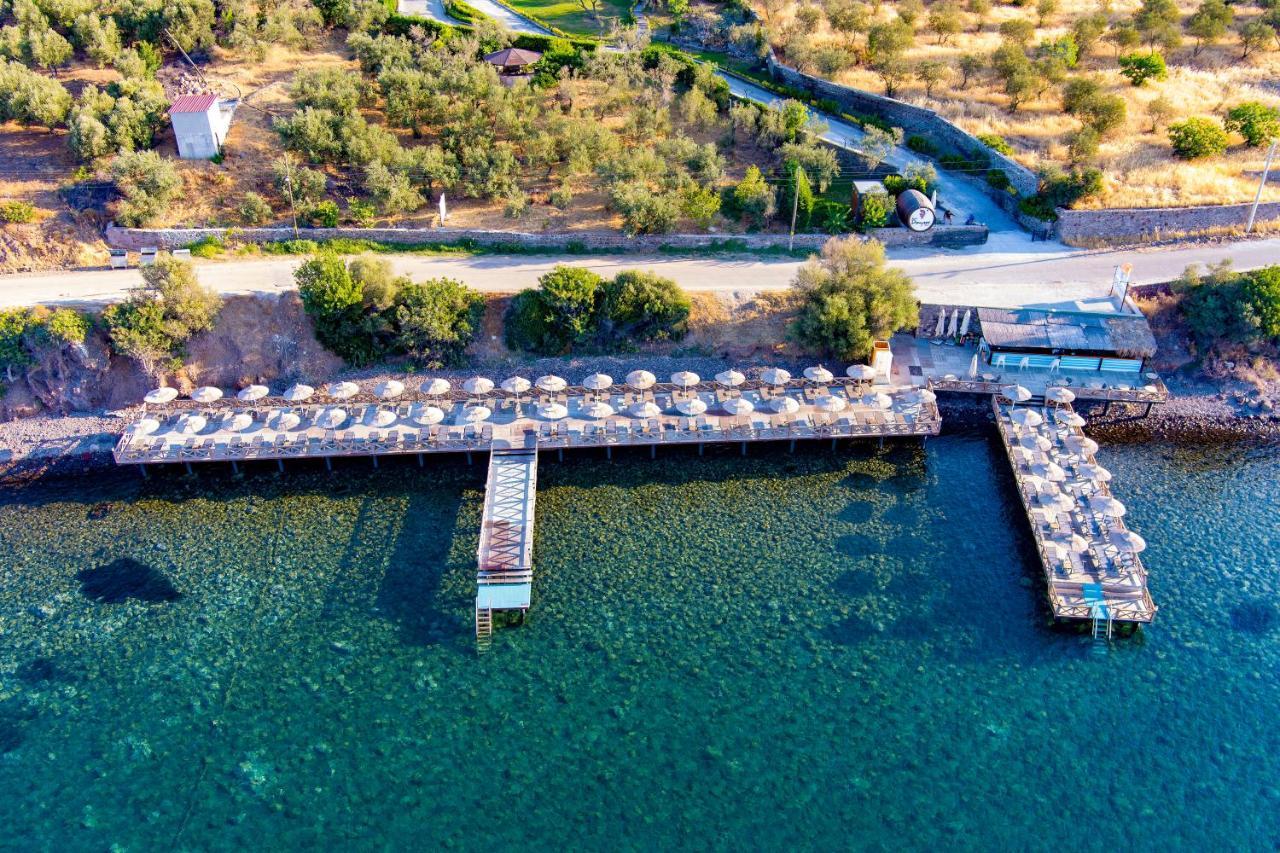 Assos Dionysos Special Class Hotel Adults Only 12 Years 외부 사진